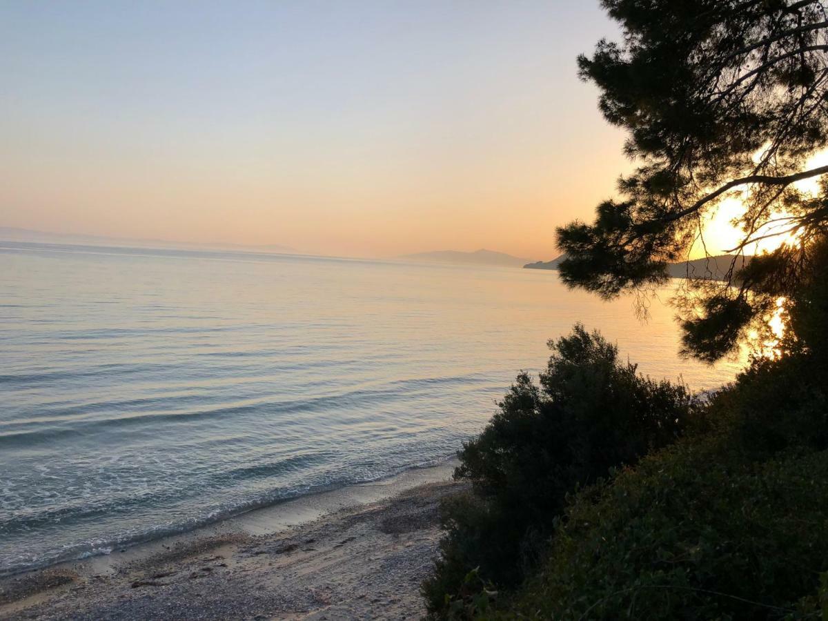 הוילה Kalandra Unique Sea View House מראה חיצוני תמונה